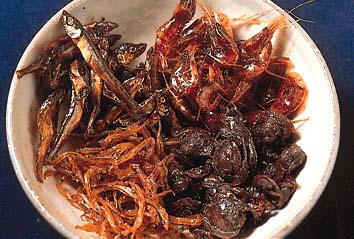 佃煮
撮影:関戸 勇