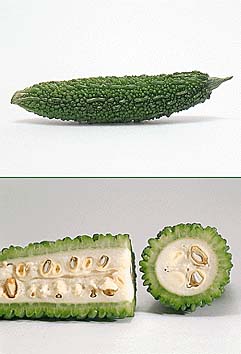 茘枝
撮影:関戸 勇