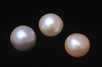 6月 真珠
撮影:関戸 勇