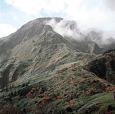 苗場山
提供:オフィス史朗