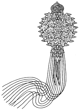 薬玉