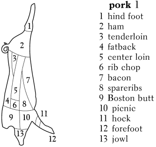 pork 【挿絵】
